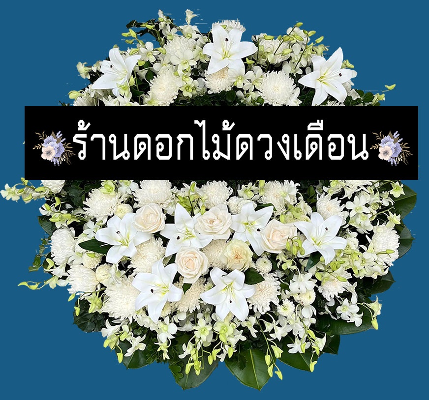 My Image 43
